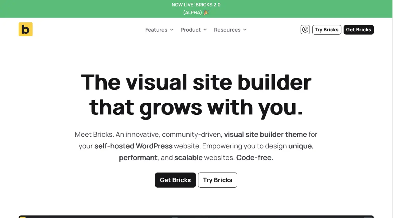 Bricks
