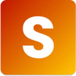 Slim seo icon